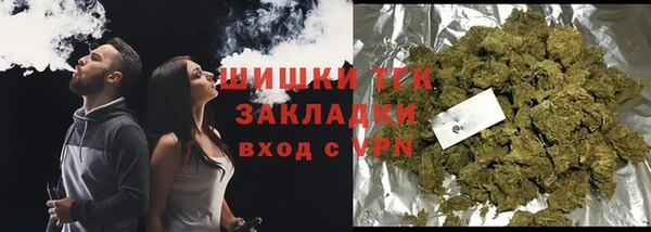 стаф Бронницы