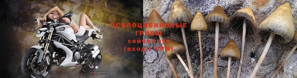 стаф Бронницы
