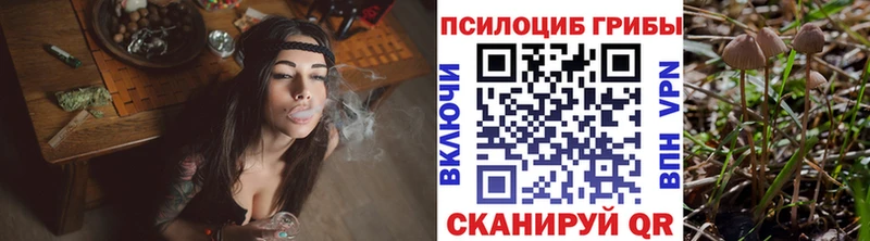 Галлюциногенные грибы Cubensis  Кингисепп 