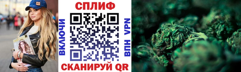 кракен зеркало  Кингисепп  Марихуана Amnesia  купить наркоту 